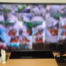 장안고등학교 이미지