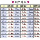 더블유더블에스