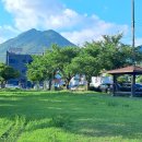 뜨락의아침 이미지