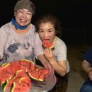 410민박 이미지