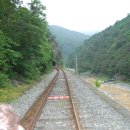 현준목장 이미지