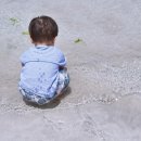 스타렌트카 이미지