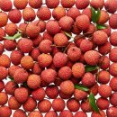 성연유통 | 18장 : 오마르의 리큐르 캐스크 / 제로 슈거 맞아요?