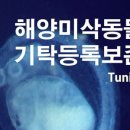 이화여자대학교 자연사박물관 네이버블로그