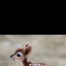 세븐일레븐 대구신천본점 이미지