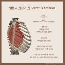 모던필라테스금천