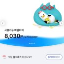 다맥 | 24년 12월 상반기: 나는 아직 널 보낼 준비가 되지 않았는데