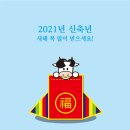 하얀디자인 이미지