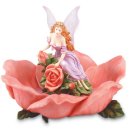 새들의 정원 이미지