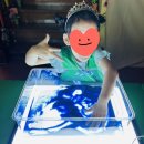 (주)푸른나라 이미지