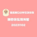 엘르메디산부인과의원