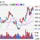 (주)마제스타 마제스타카지노 이미지