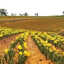 매계보건진료소 이미지