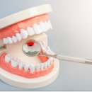 김해본치과의원 이미지