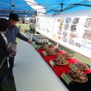 안성면 생활체육공원 이미지