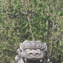 경기둘레길 안성41코스 이미지