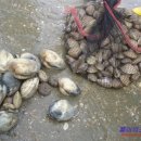 은실농장 이미지