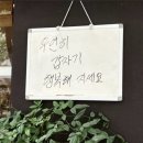 페리카나송지호점