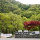 산내면 반선마을 이미지