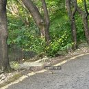 고산자연휴양림 가족휴양관 이미지