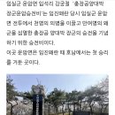 충장군