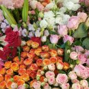 유스타게임랜드 이미지