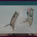 이심원충신정려현판 이미지