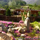 산중펜션 네이버블로그