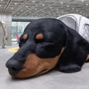 썬샤인하우스 이미지