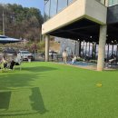 자연속의 펫 | 금산 애견카페 자연 속 힐링 가능한 마운틴펫 이용 후기