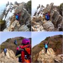 느티나무 | 경기 군포 ㅡ 겨울의 모습이 아직도 짙었던 수리산