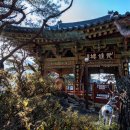 경남함양이은349 이미지