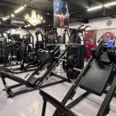 오렌다 핏 이미지