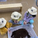 신금초등학교병설 이미지