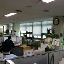 동안구청-6 이미지