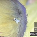 대창택시 이미지