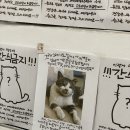 욜 스테이 이미지