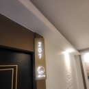 스테이 오늘 이미지