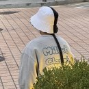땡벌 네이버블로그
