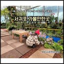 3월 제주도 여행 아이와 서귀포 비올때 가볼만한곳 제주 식물원 김정문알로에숲 무료 관광지