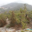 양림농장 이미지