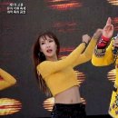 고흥유자석류축제 이미지