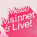 가메조네 이미지