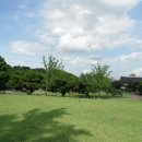 대구 달성(大邱 達城) 이미지