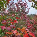 우리농원 이미지