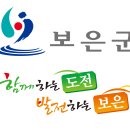 보은군청 티스토리