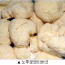 푸른환경개발 정책브리핑