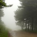 비나리목장 이미지