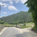 유천리 삼거리 이미지