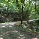 청풍마을펜션 이미지